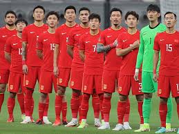 表明国内的